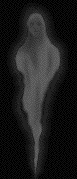 duch3.gif