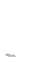 duch5.gif